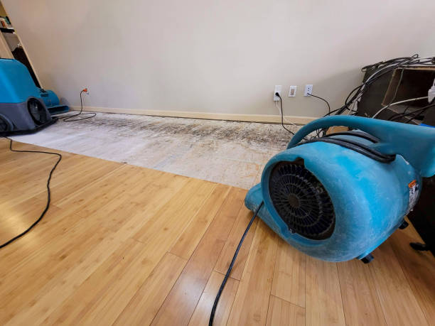 Professional Water Damage Repair technician working in Emerson, GA